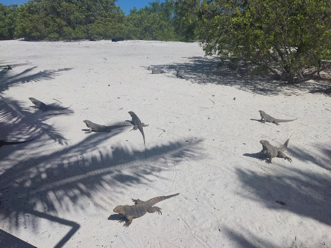 Ruscubadive-巴拉德罗必去景点