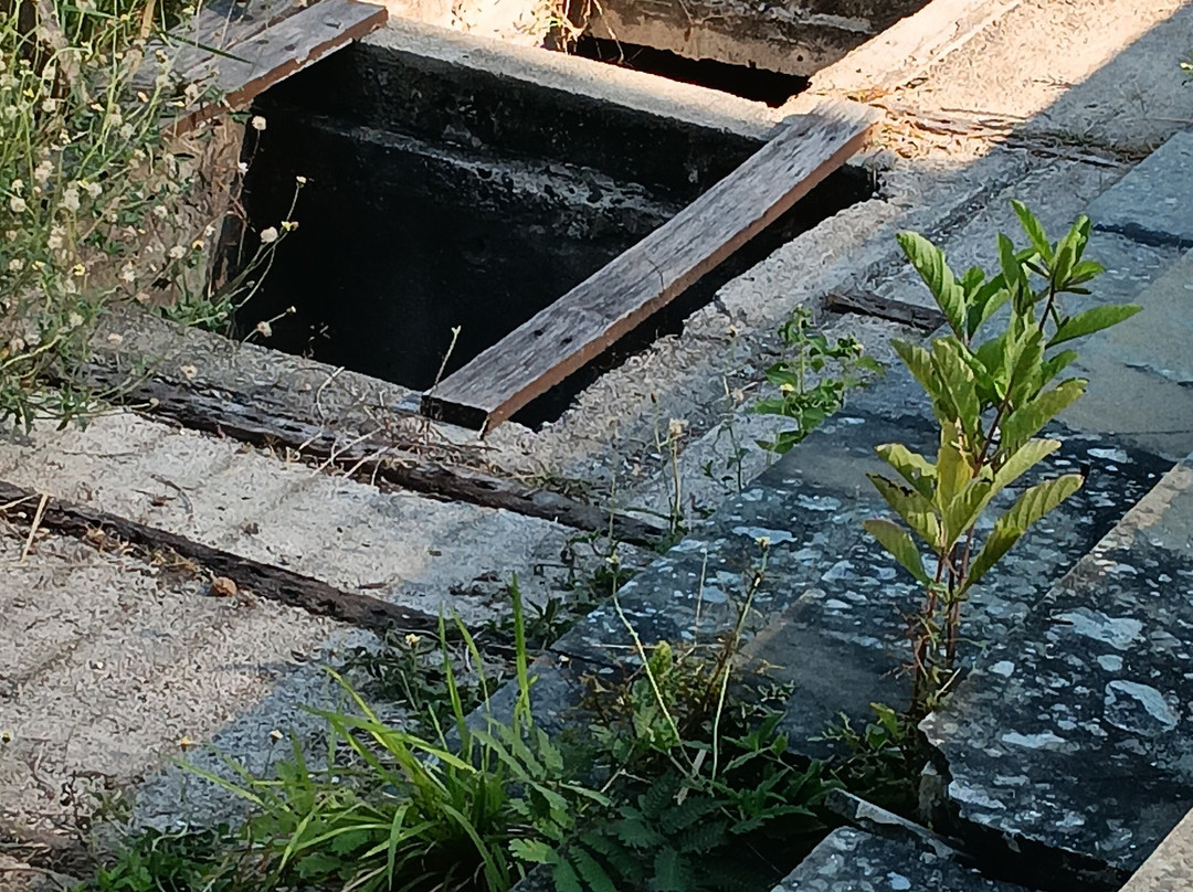 蓝海浮潜中心-Gili Air必去景点