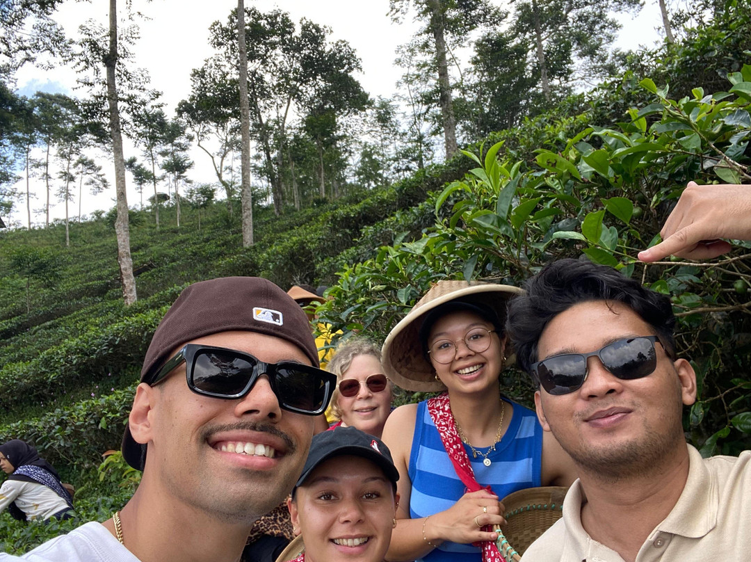 Java Bali Trips-Bantul必去景点