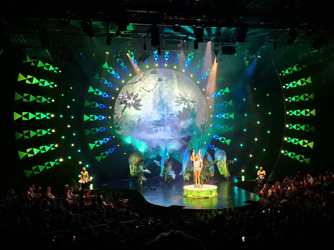 Cirque du Soleil 'Auana-火奴鲁鲁必去景点