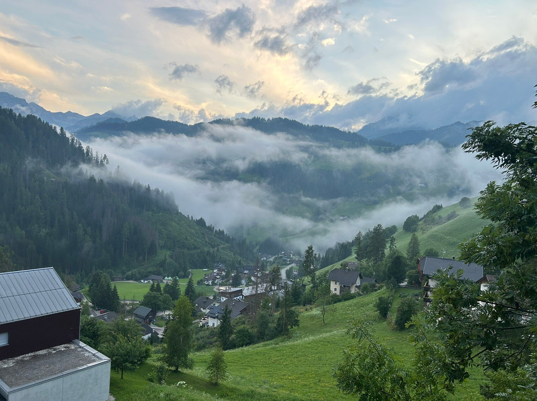 Hotel Alpenrose主图