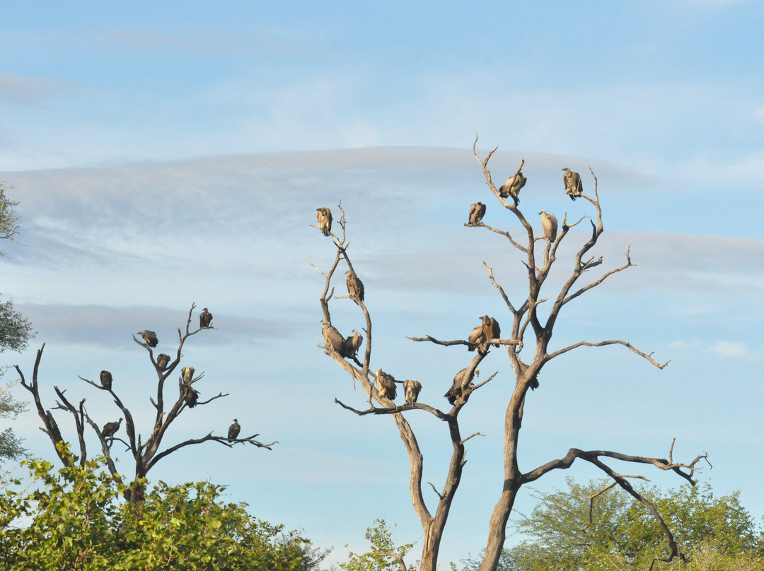Bohlokwa Nature Reserve-Vlakfontein必去景点