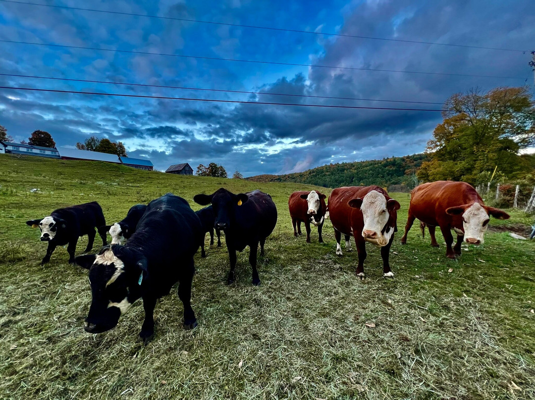 Bailey's Mills Bed and Breakfast主图