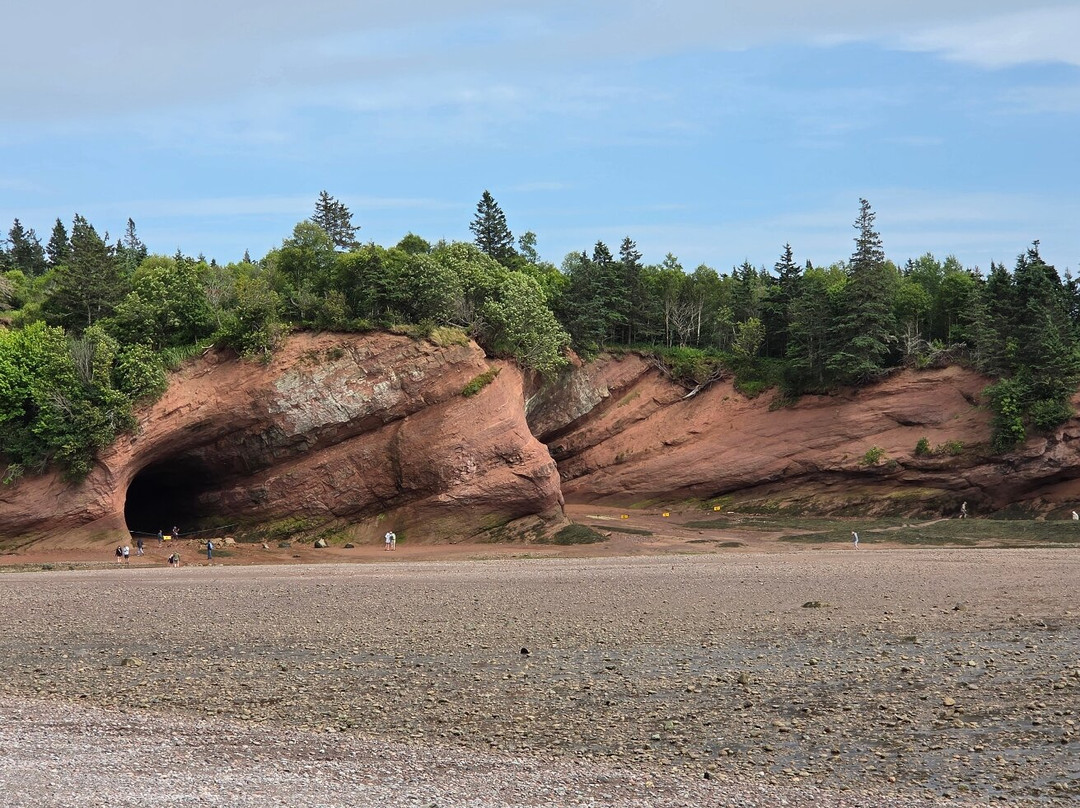 Fundy Footprints Bed And Breakfast主图