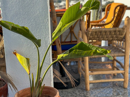 Paddle Out Surfschool-Tamraght必去景点