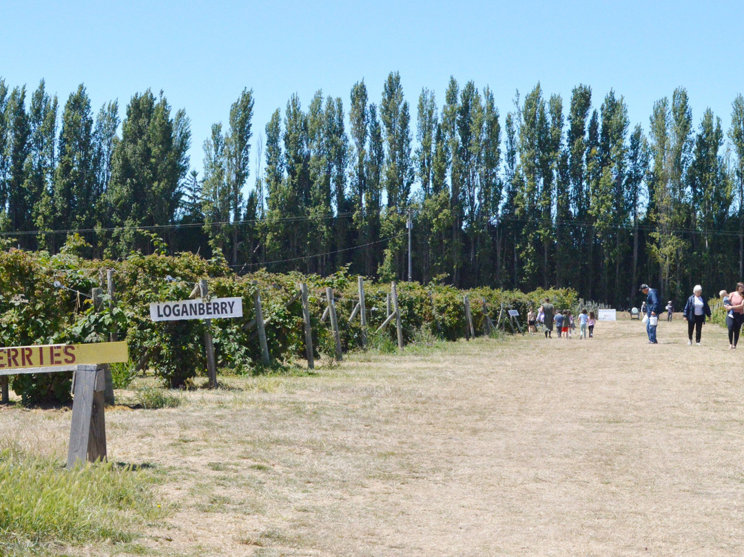 Graysmarsh Berry Farm-塞奎姆必去景点