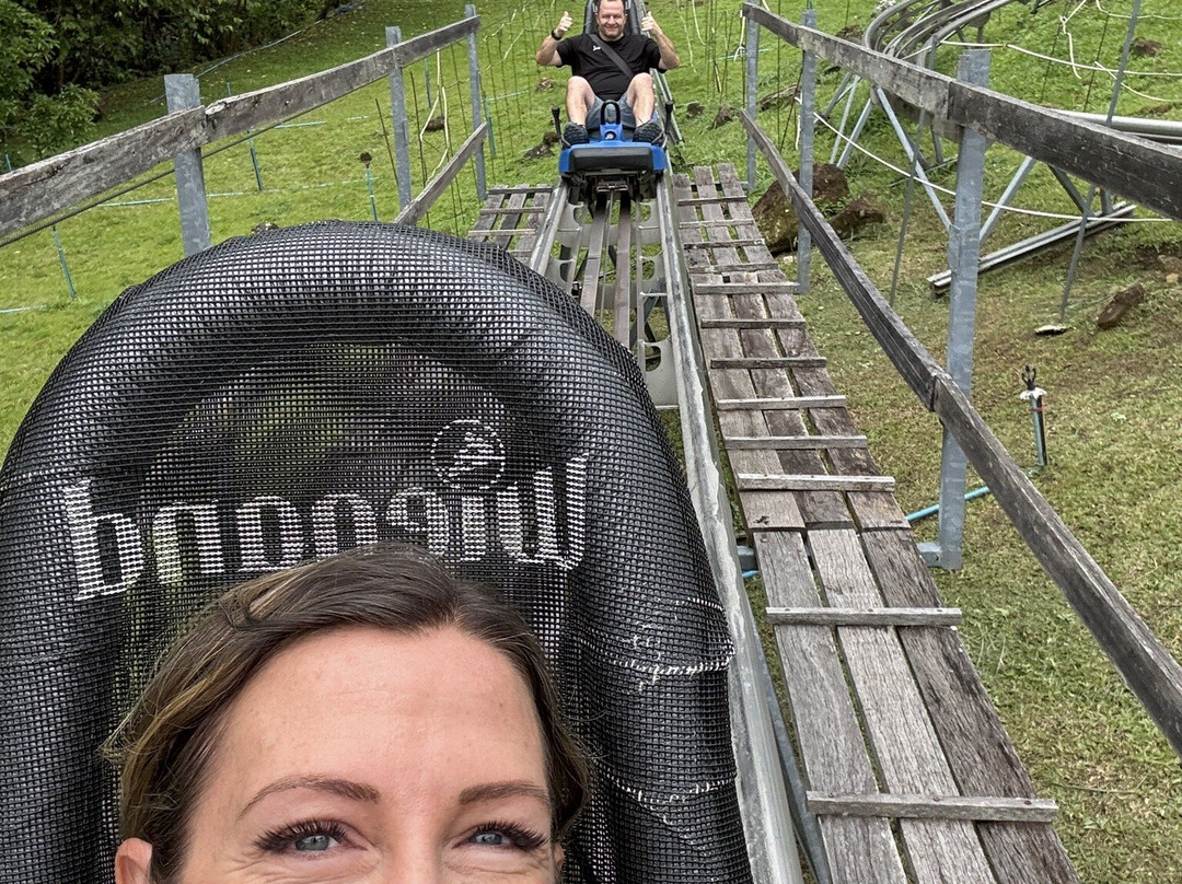 Tom Chiangmai Driver-清迈必去景点