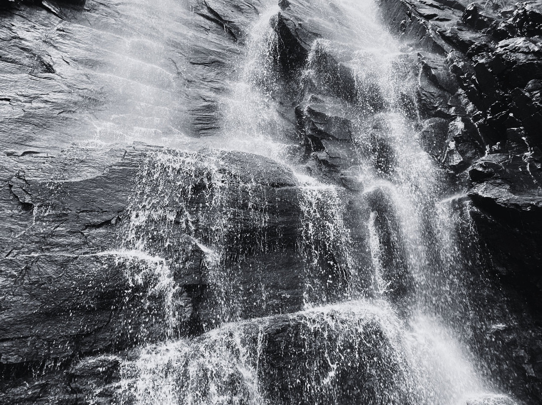 Hickory Nut Falls Trail-Chimney Rock必去景点