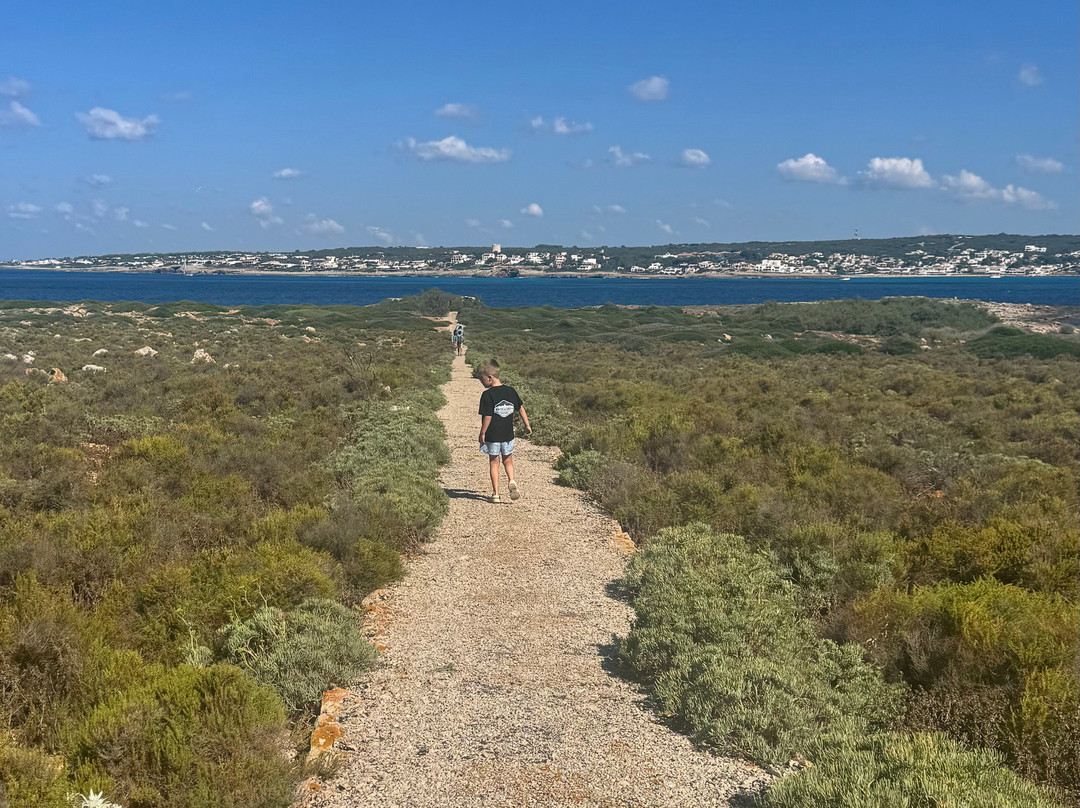 BlackLizard Boat Tours-Biniancolla必去景点