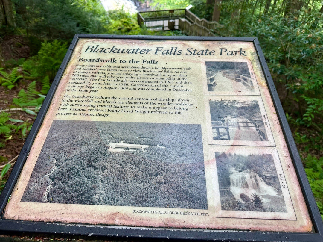 Blackwater Falls State Park-戴维斯必去景点