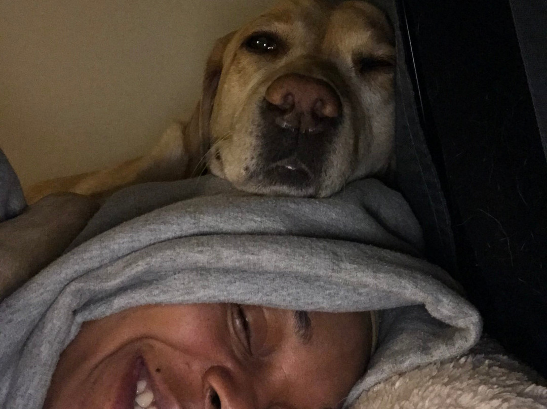 Hardscrabble Wilderness Area-Briarcliff Manor必去景点