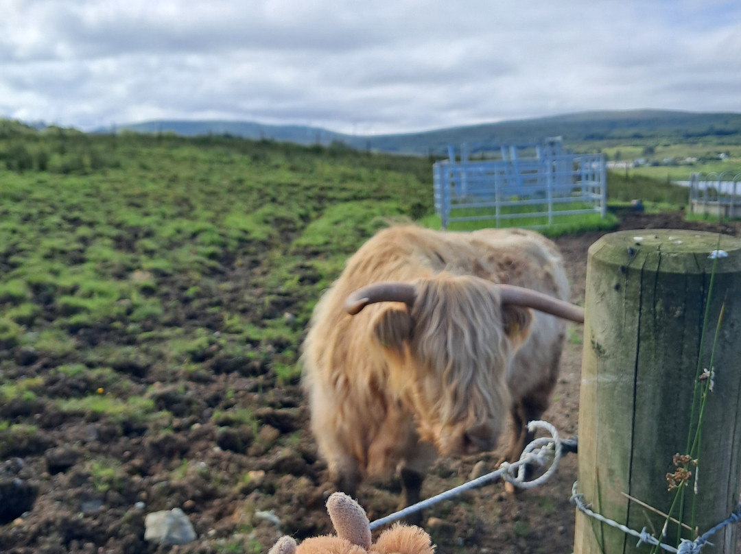 Uniquely Scotland-斯特灵必去景点
