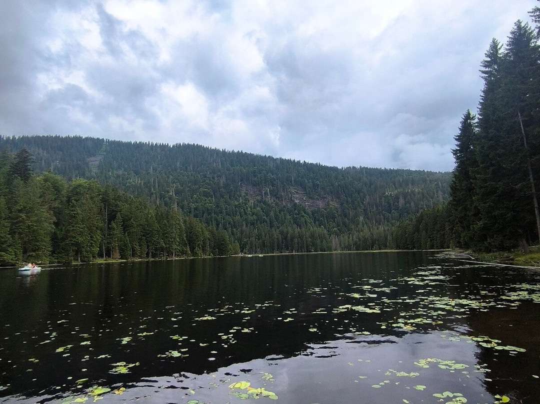 Arbersee-Bayerisch Eisenstein必去景点