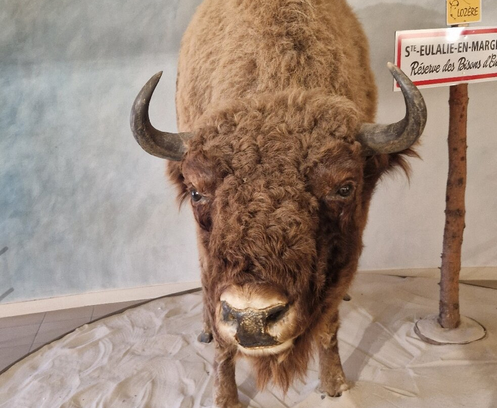 Réserve Bisons d'Europe-Sainte-Eulalie必去景点
