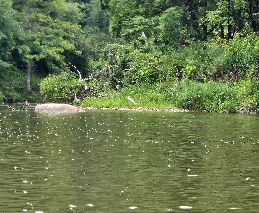 Zaloo's Canoes, Kayaks & Tubes-Jefferson必去景点