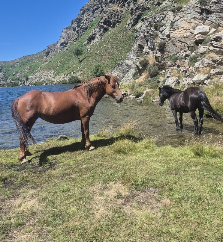 Le Dahu Ariégeois-Serres-sur-Arget必去景点