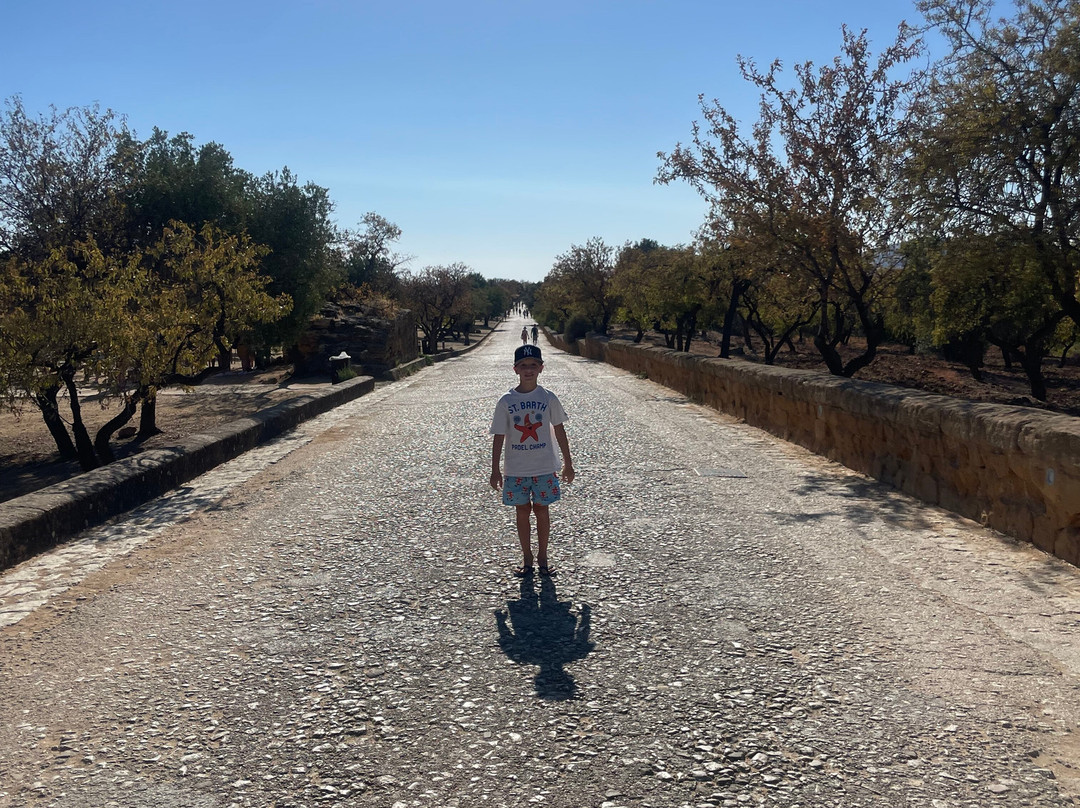 Sicily Travelnet Private Tours-阿格里真托必去景点