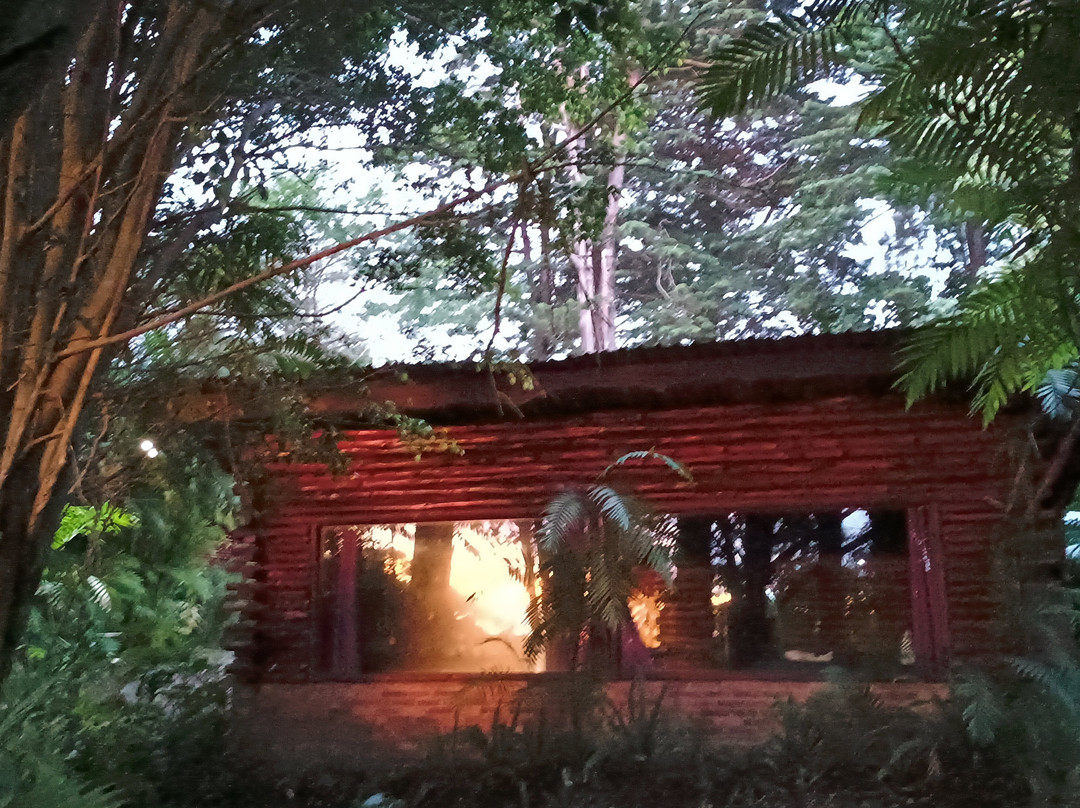 Cabañas Las Ardillas主图