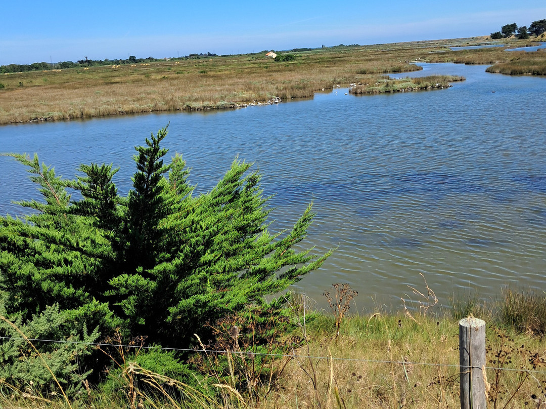 Plage des Dames-Ile de Noirmoutier必去景点