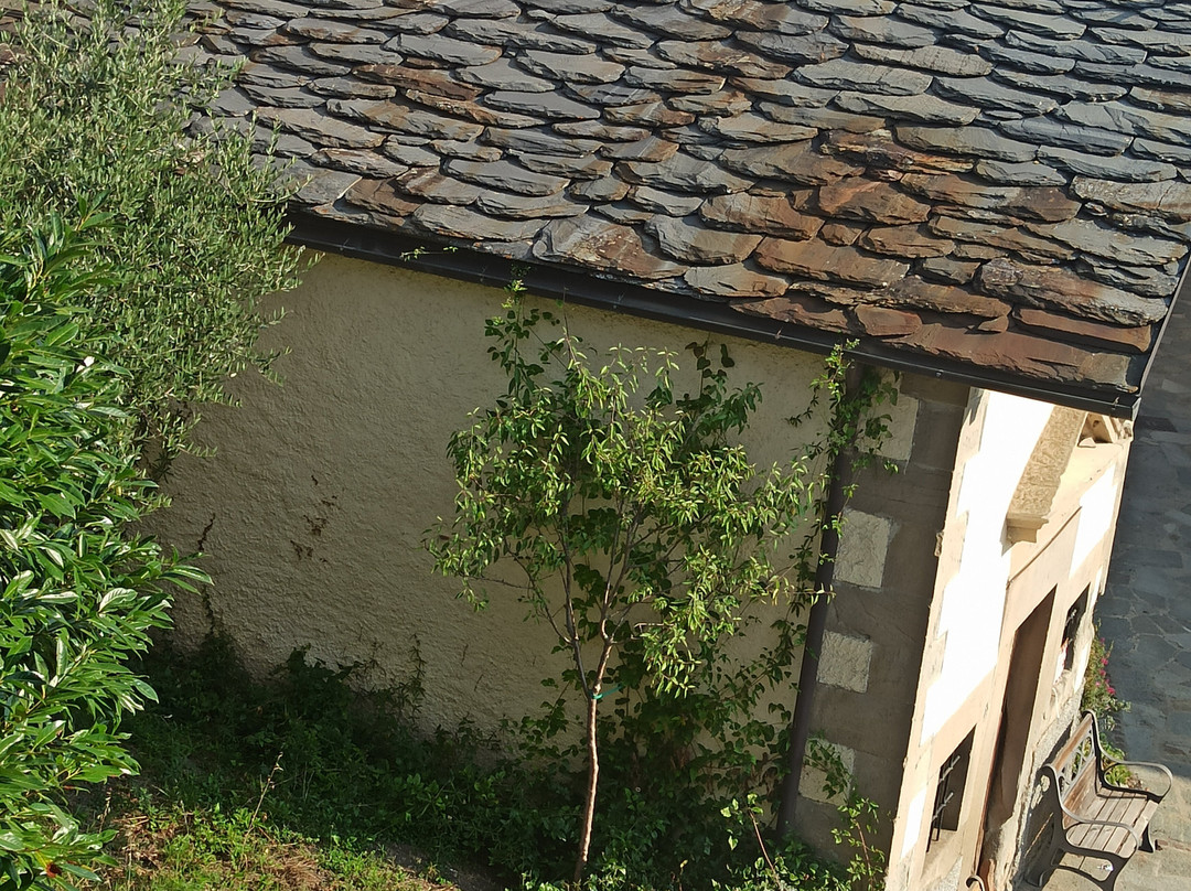 Locanda Zita主图