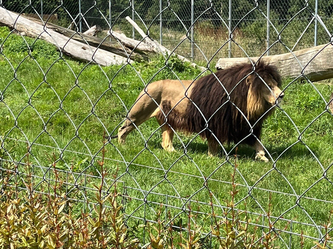 Zoopark Na Hrádečku-英吉夫必去景点