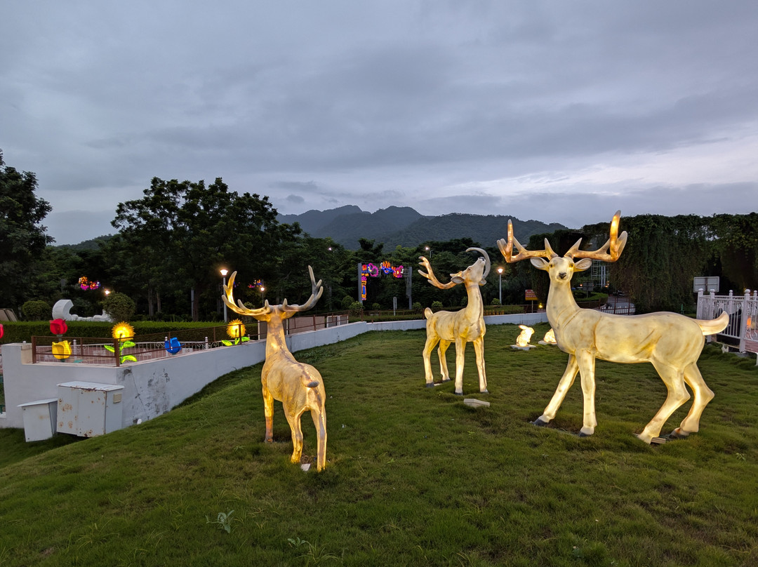 Glow Garden At Statue Of Unity