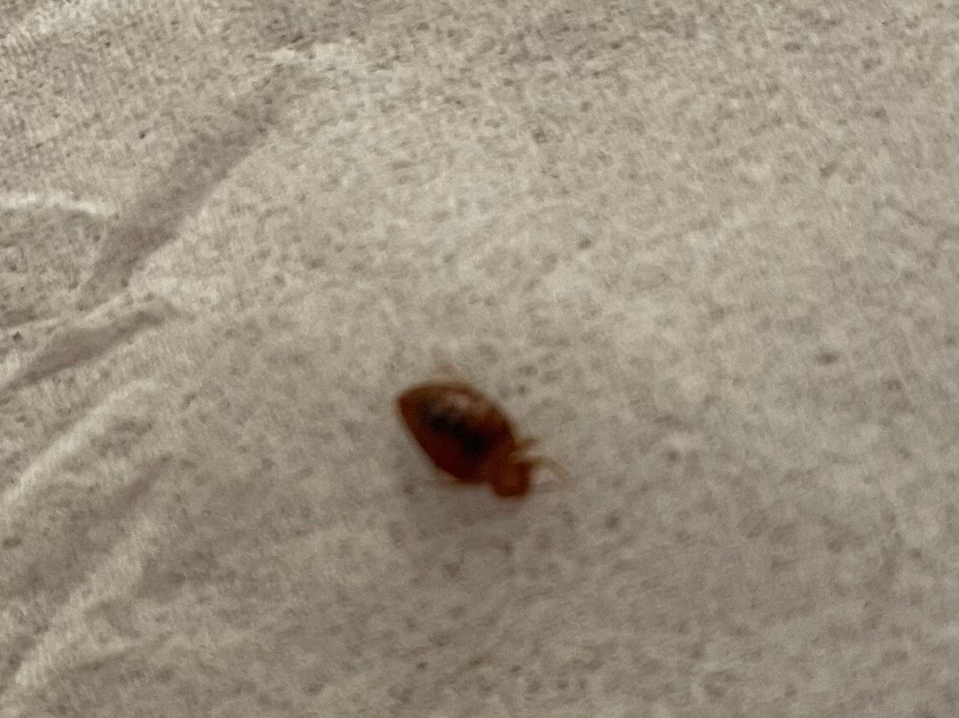 Kentucky Dam Village State Resort Park - Lodging主图