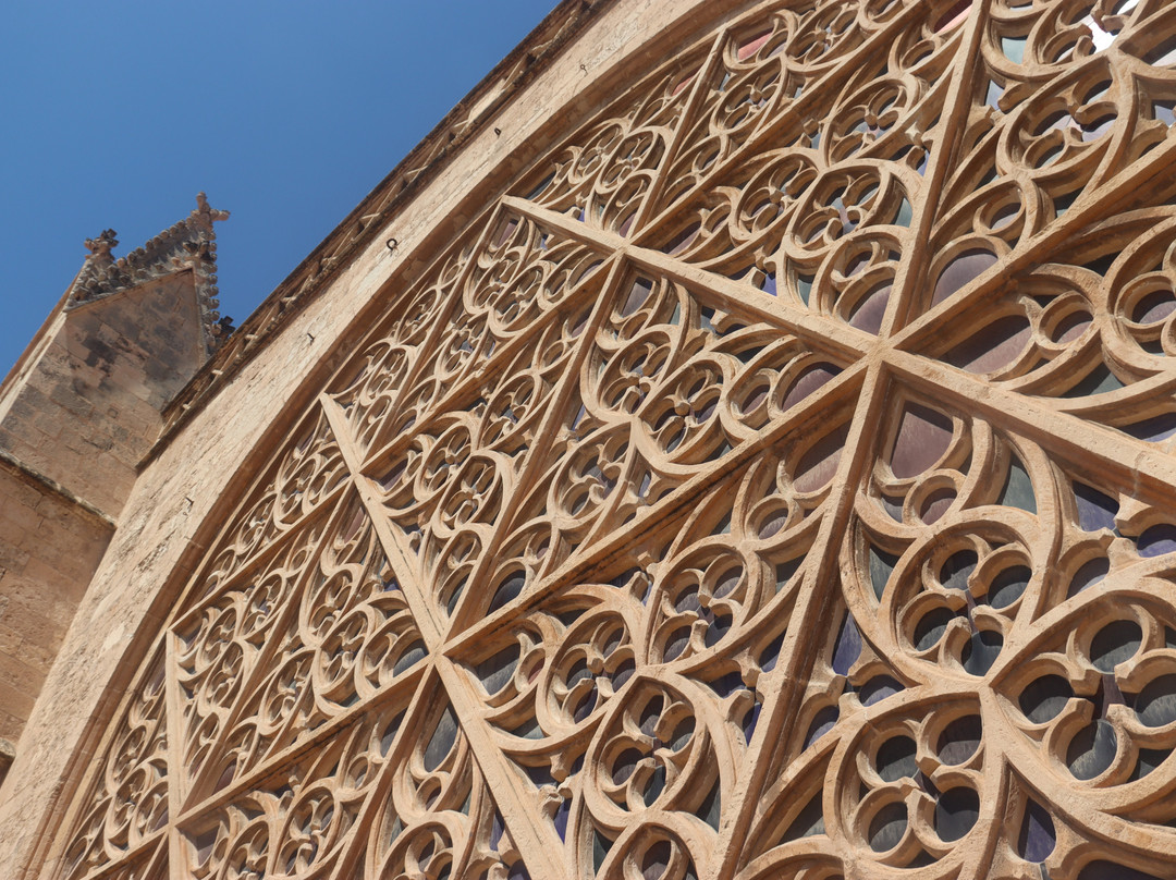 Terrazas de la Catedral de Palma-马洛卡帕尔马必去景点