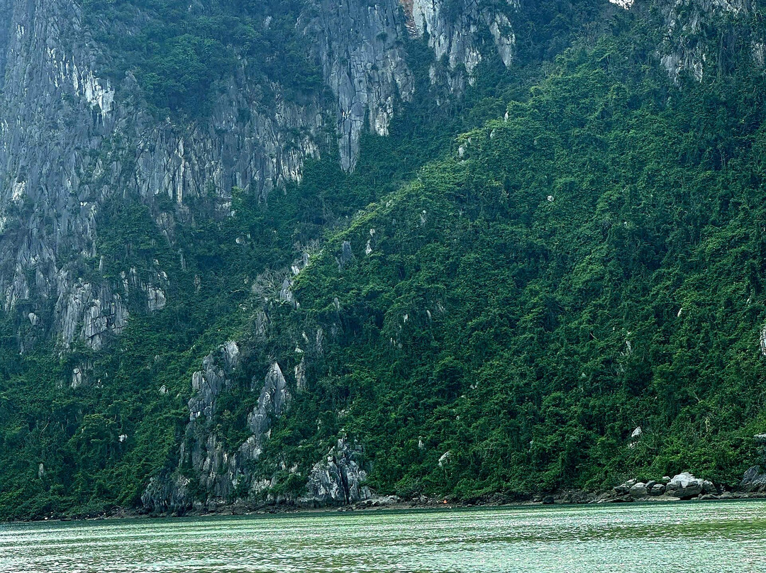 Halong Bay Le Journey Cruise-河内必去景点