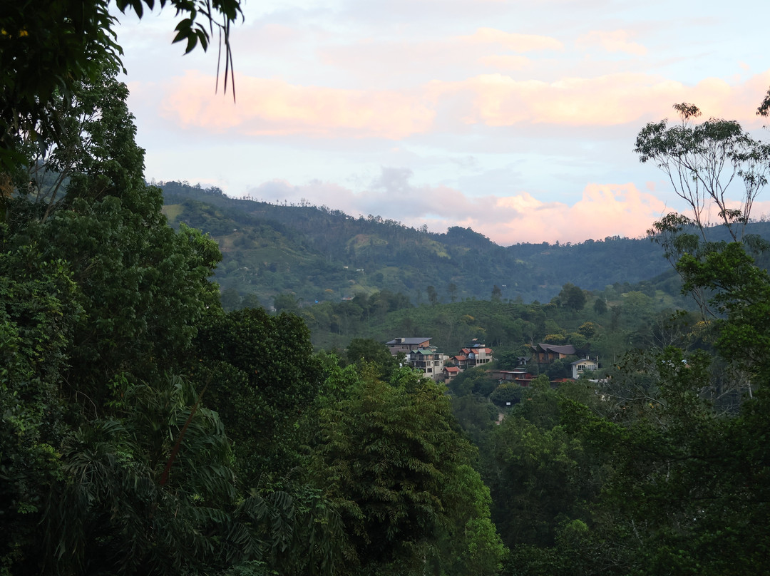 3Arch Eco Cottage Ella