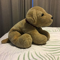 MontyPuppy