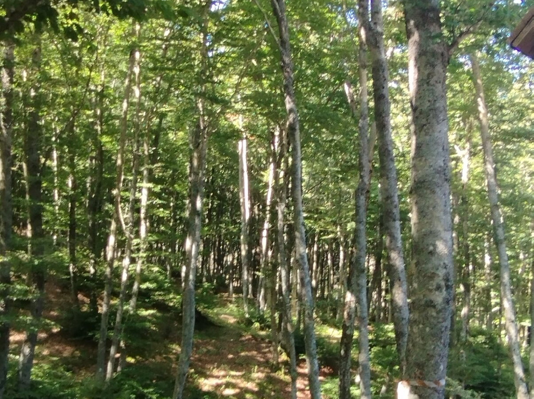 Sorgente dell'Arno-Stia必去景点