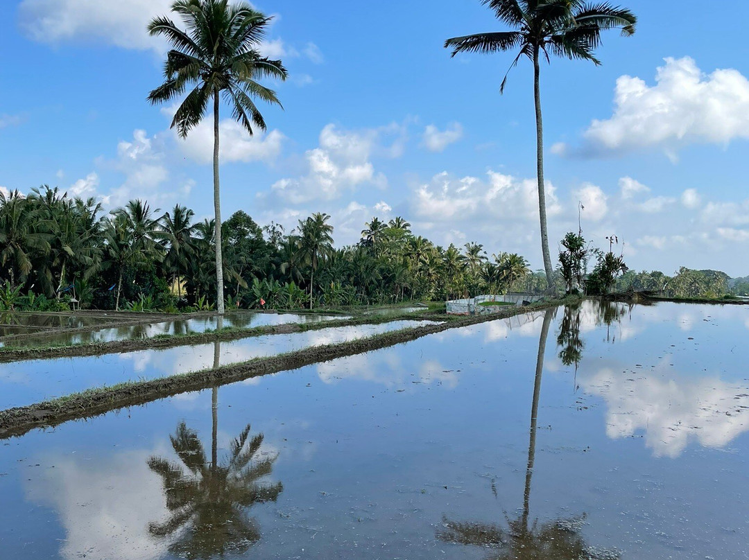 Bali Bike Adventures-乌布必去景点