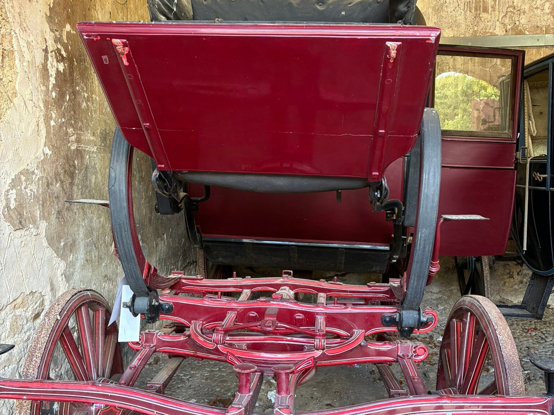 Doneraile Wildlife Park-Doneraile必去景点