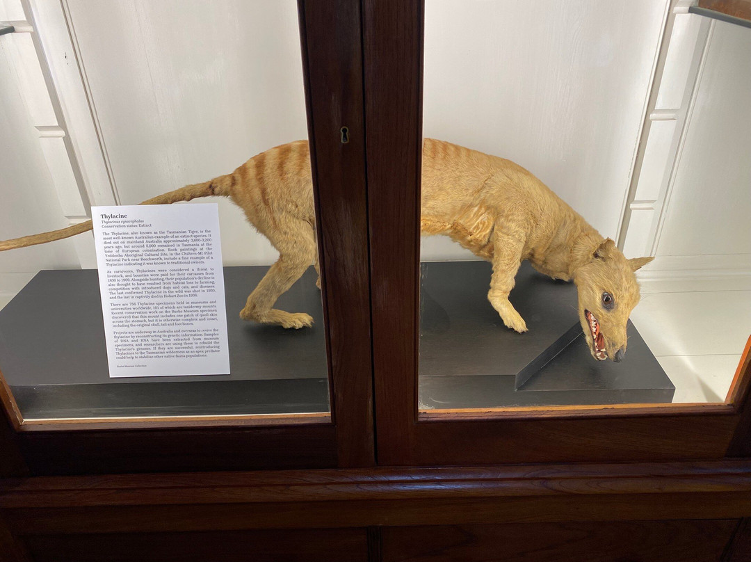 Burke Museum-比奇沃思必去景点