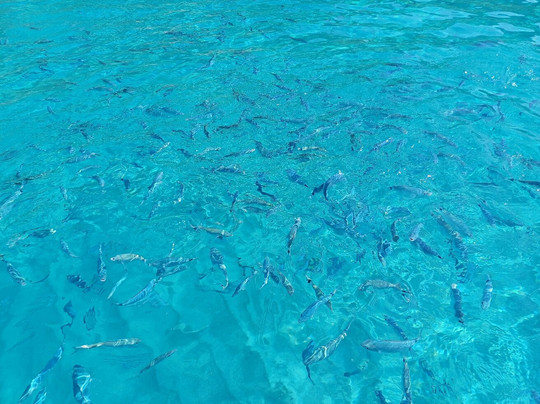 Centro Escursioni il CANNONE-特罗佩阿必去景点