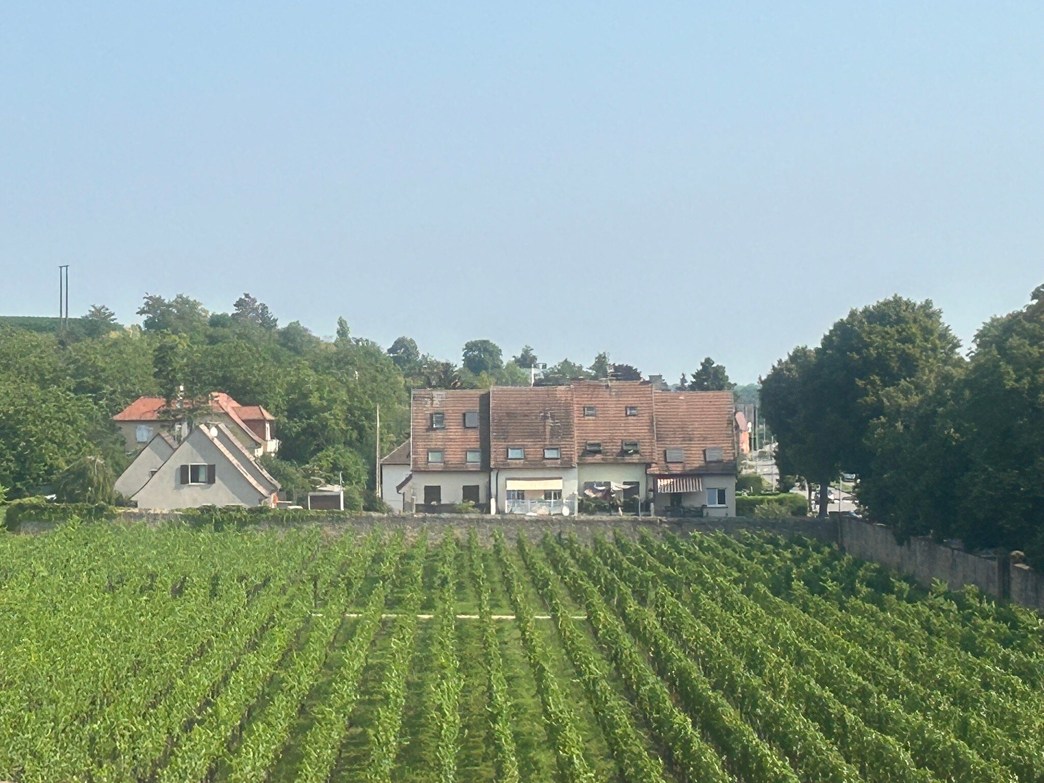 里昂城堡酒店-官方