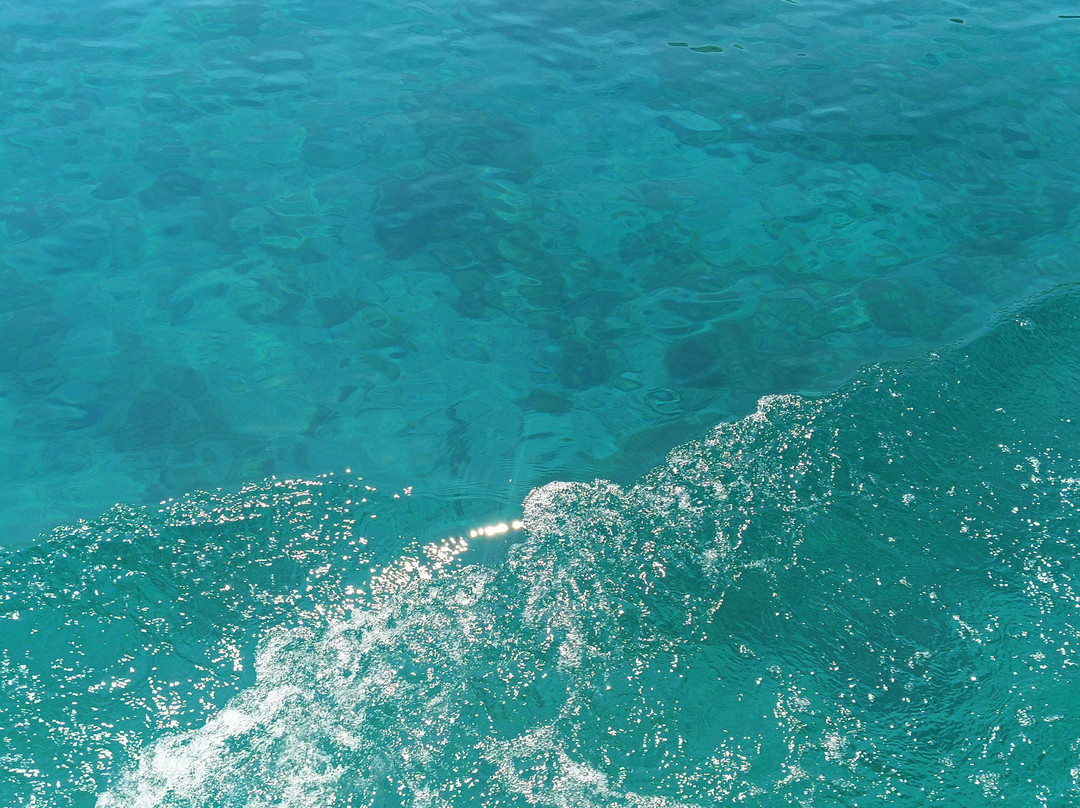 Robinzon Tours-帕格必去景点