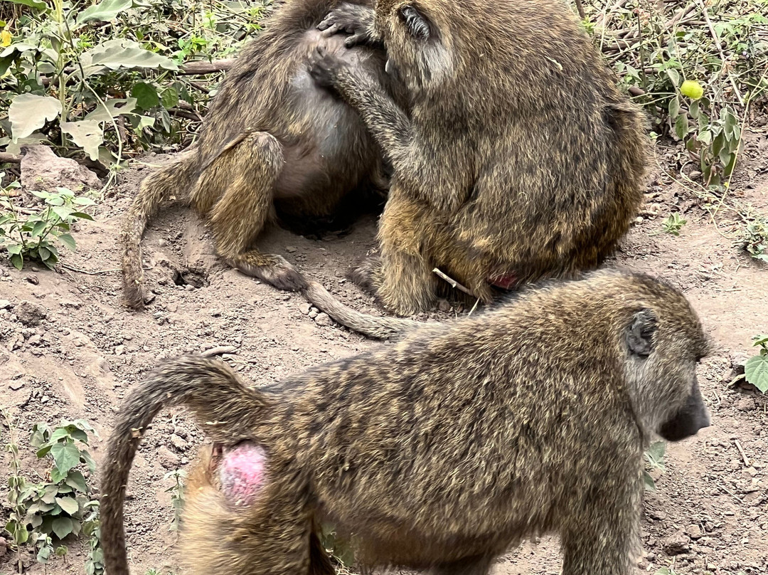 B2 Travel Group-纽约市必去景点