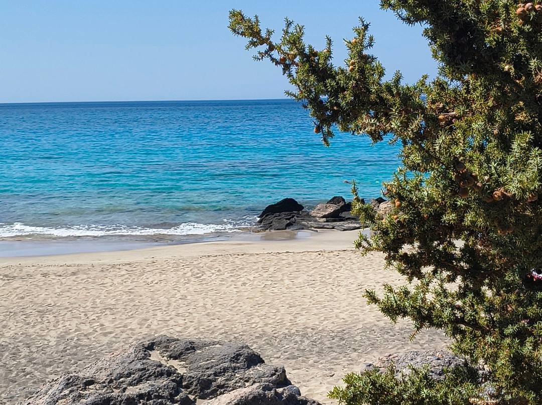 Kedrodasos Beach-基萨莫斯必去景点