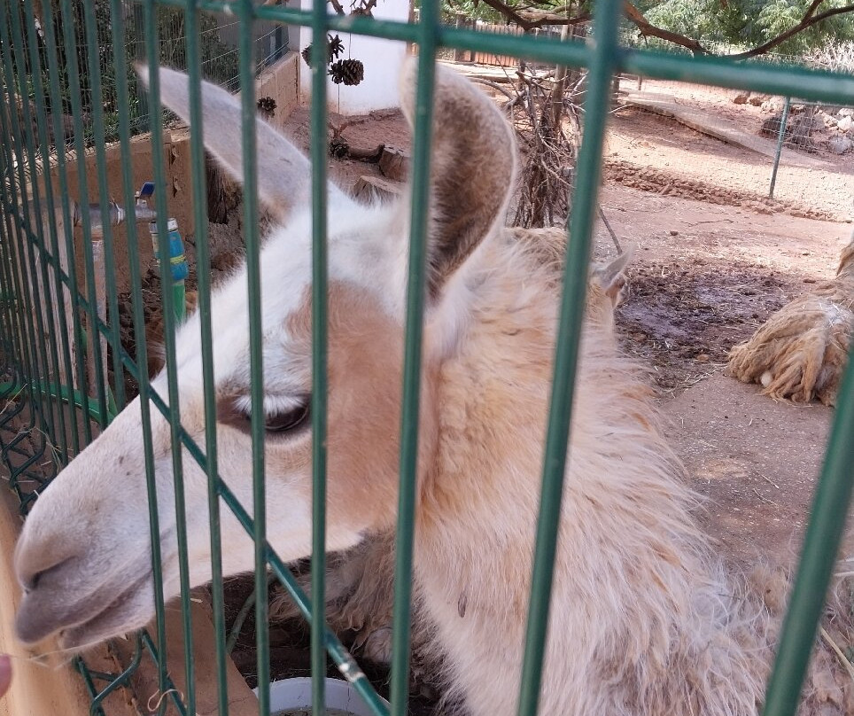 Krazy World Zoo-Algoz必去景点