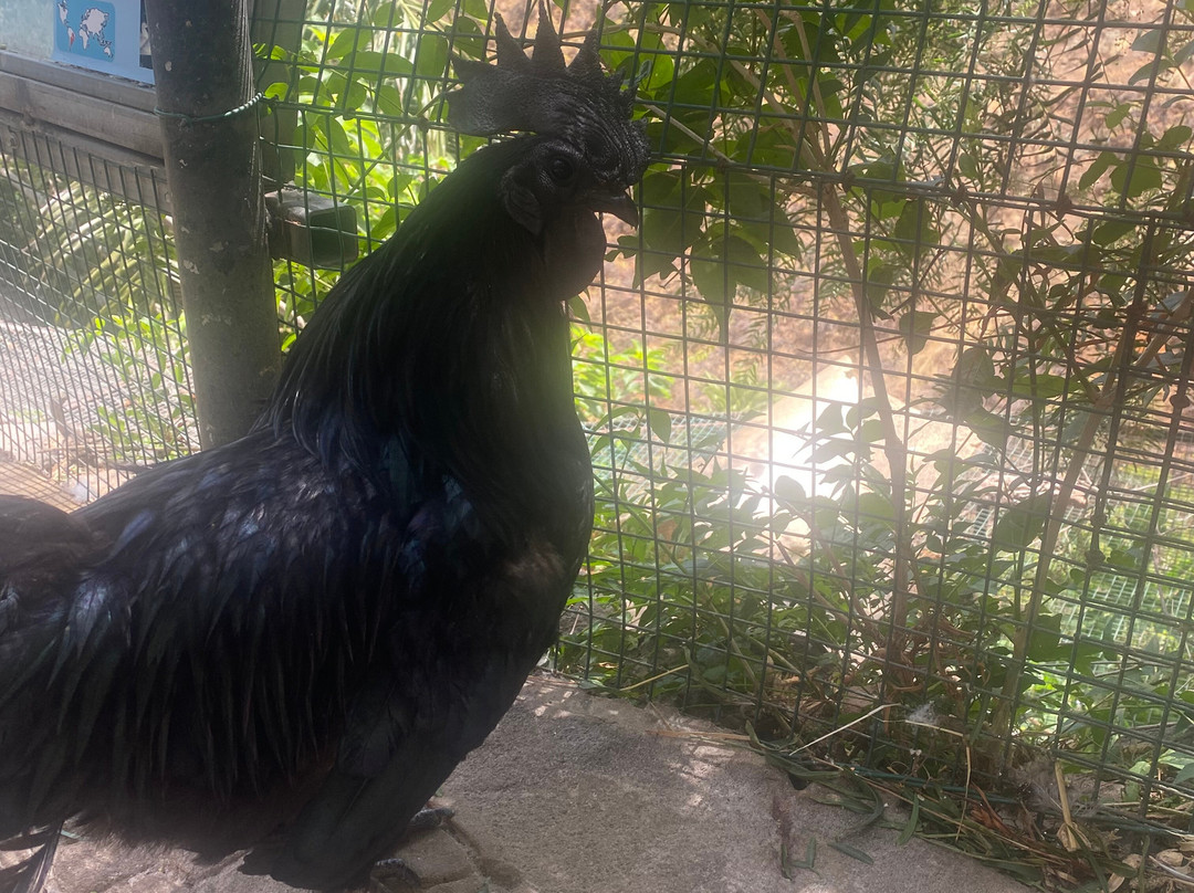 Maroparque Isla de La Palma-Brena Alta必去景点