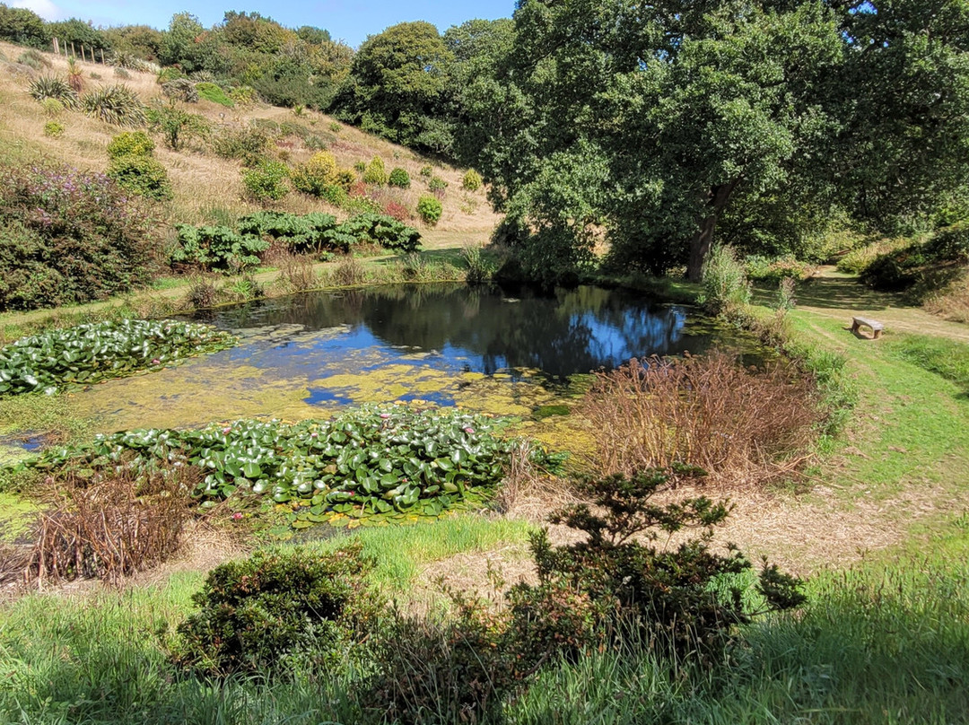 Fast Rabbit Farm Gardens-达特茅斯必去景点
