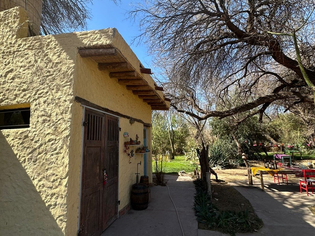 Bodega Perro Guardian-Tinogasta必去景点