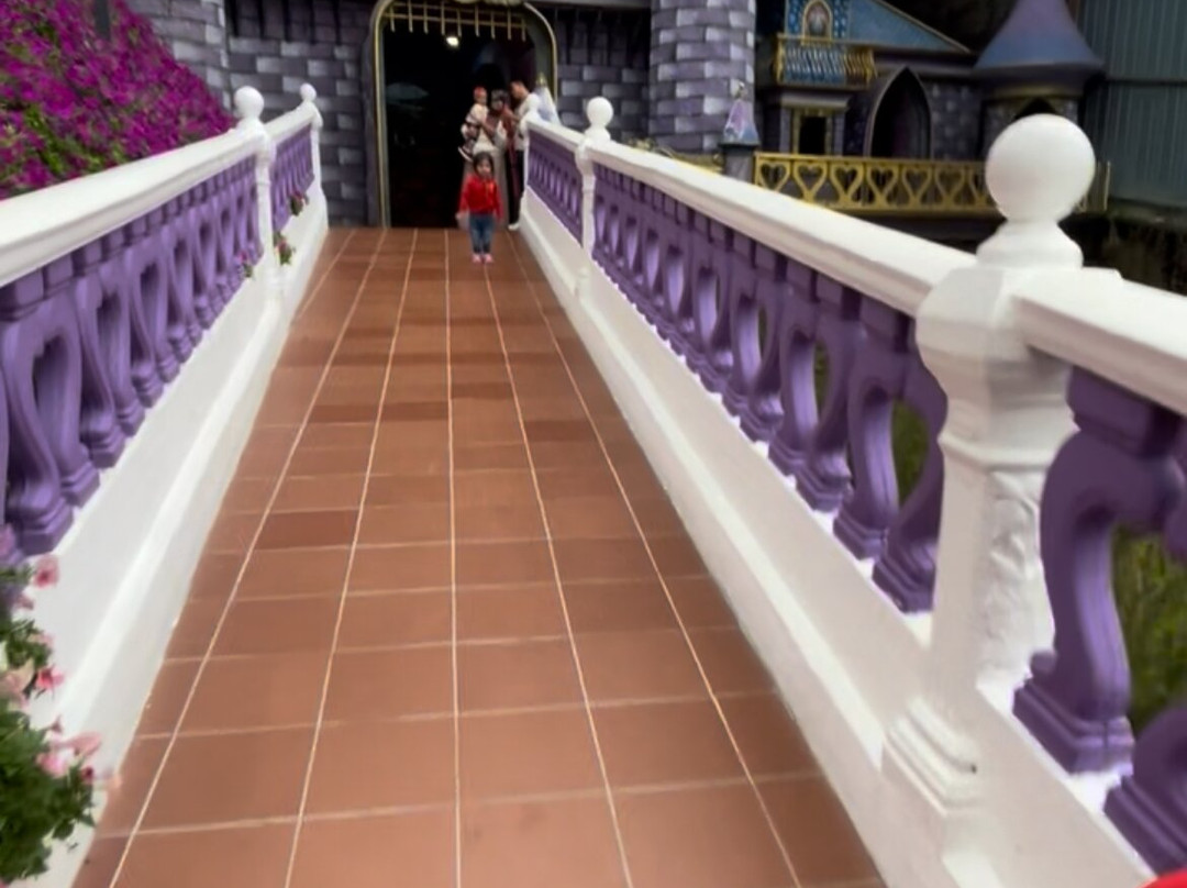 Cameron Lavender-碧兰璋必去景点