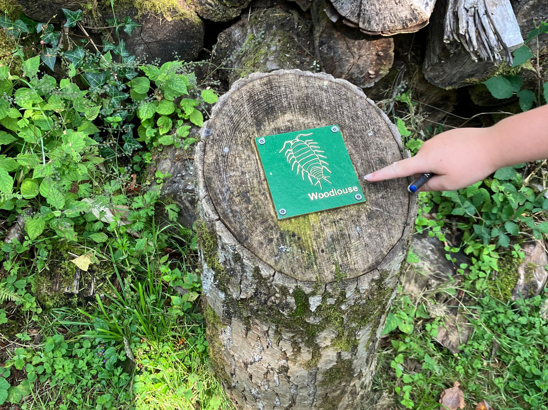 Picton Castle Gardens-哈弗福韦斯特必去景点