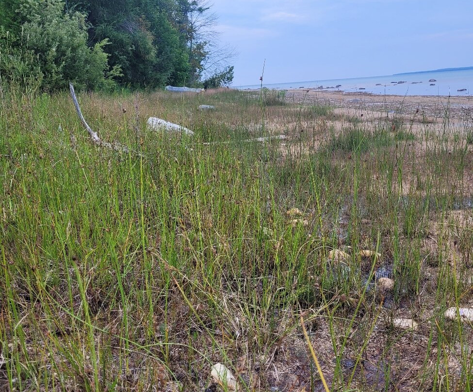 Happy Paddle-Beaver Island必去景点