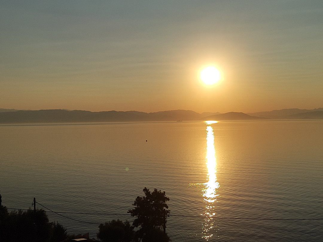 米茨斯贝尔维德雷的Canvas主图