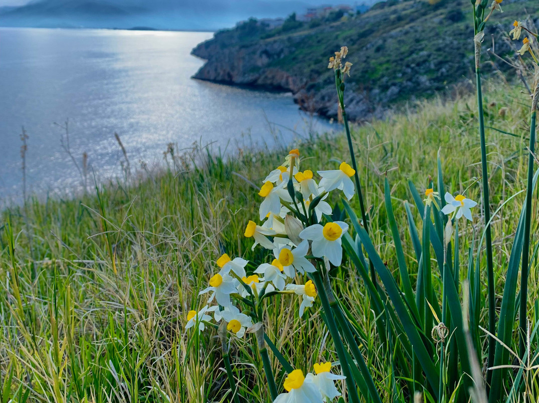 Paralio Astros Castle-Paralio Astros必去景点