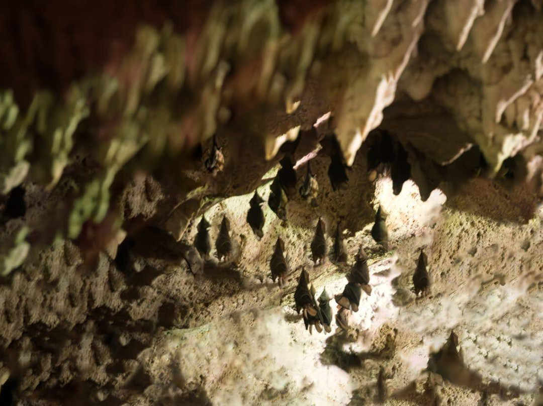 Paje Cave-帕杰必去景点